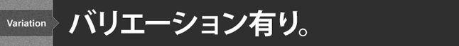 バリエーション有り。